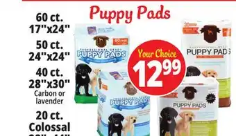 Ocean State Job Lot Puppy pads offer