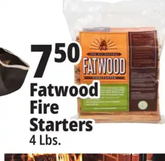 Ocean State Job Lot Fatwood firestarter offer