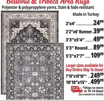 Ocean State Job Lot Bellevue & tribeca area rugs offer
