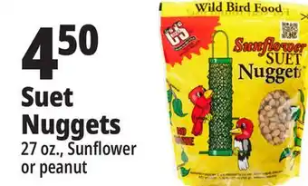 Ocean State Job Lot Suet nuggets offer
