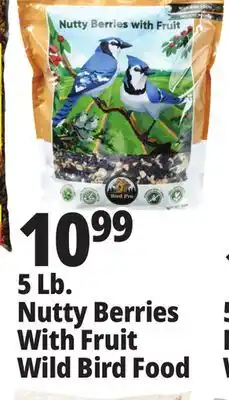 Ocean State Job Lot Bird pro nutty berries with fruit wild bird food, 5 lbs offer
