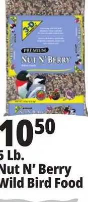 Ocean State Job Lot Better bird premium nut n' berry bird food, 5 lbs offer