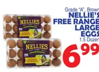 Bravo Supermarkets Nellie's free range large eggs offer