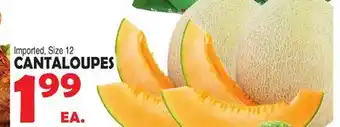 Bravo Supermarkets Cantaloupes offer