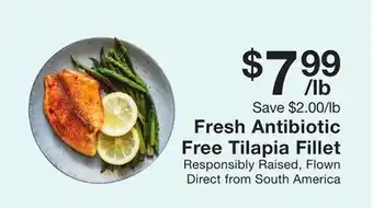 Fairway Store Market Fresh antibiotic free tilapia fillet offer