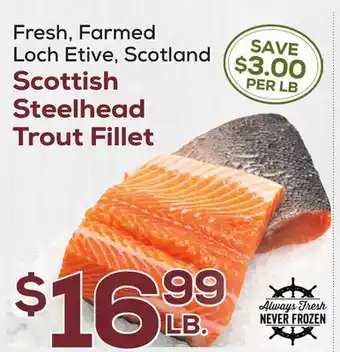 DeCicco & Sons Scottish steelhead trout fillet offer