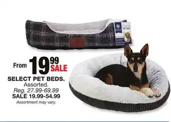 Blain's Farm & Fleet Select pet beds offer