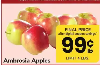 ACME Ambrosia apples offer