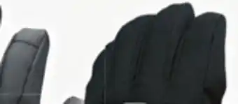 Big 5 Demon women's alta gauntlet snow glove offer