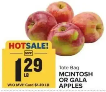 Food Lion MCINTOSH OR GALA APPLES offer