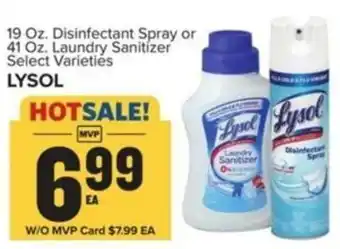 Food Lion LYSOL offer