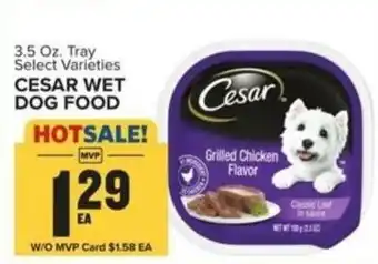 Food Lion CESAR WET DOG FOOD offer