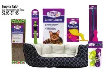 Dollar General Forever pals cat accessories or toys offer