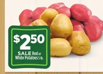 Dollar General Red or white potatoes offer
