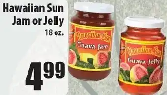 Hawaiian Sun Jam Or Jelly 18 oz