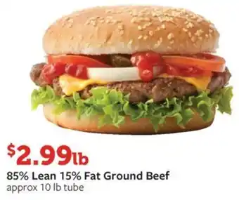 Fareway 85% Lean 15% Fat Ground Beef offer