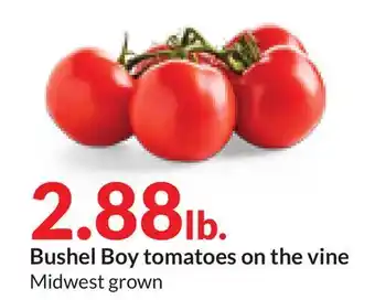Hy-Vee Bushel boy tomatoes on the vine offer