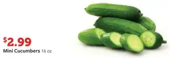 Fareway Mini Cucumbers 16 oz offer