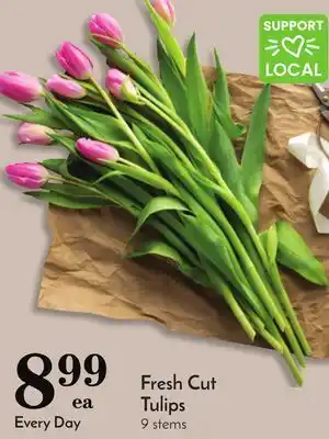 Pavilions Fresh cut tulips offer