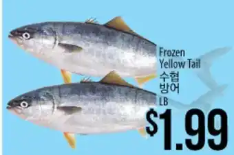 Hmart Frozen yellow tail offer
