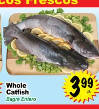 Superior Grocers Whole catfish offer