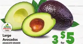 Vallarta Supermarkets Large avocados / aguacate grande offer