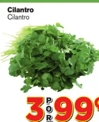 El Super Fresh Cilantro offer
