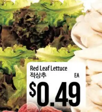 Hmart Red leaf lettuce offer