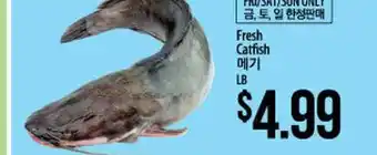 Hmart Fresh catfish offer