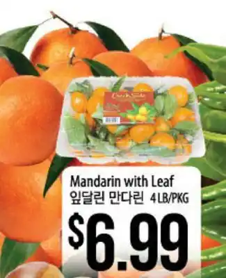 Hmart Mandarin with leaf offer