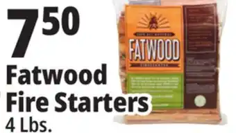 Ocean State Job Lot Fatwood firestarter offer