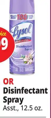 Ocean State Job Lot Disinfectant spray offer