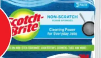 Ocean State Job Lot No scratch sponges offer