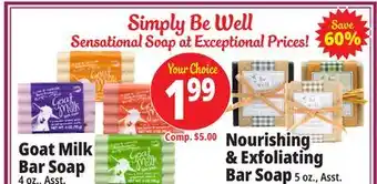 Ocean State Job Lot Simply be well soap offer