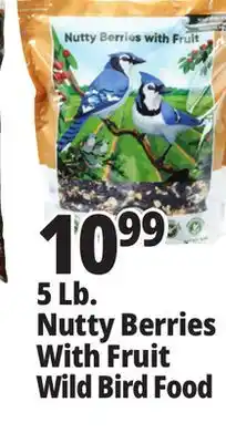 Ocean State Job Lot 5 lb. nutty berries with fruit wild bird food offer