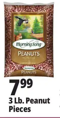 Ocean State Job Lot 3 lb. peanut pieces offer