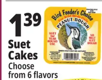 Ocean State Job Lot Suet cakes offer