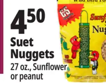Ocean State Job Lot C&s songbird snak with peanut suet nuggets, 32 oz offer