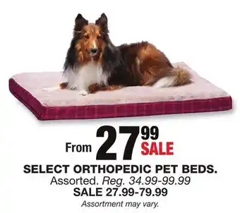 Blain's Farm & Fleet Select orthopedic pet beds offer