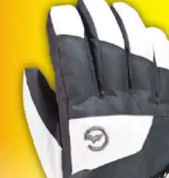 Big 5 Gordini ultra drimax zipper jr. gauntlet ski gloves offer