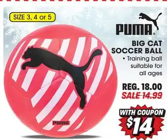 Big 5 Puma big cat soccer ball offer