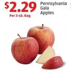 Aldi Pennsylvania Gala Apples offer