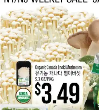 Hmart Organic canada enoki mushroom offer