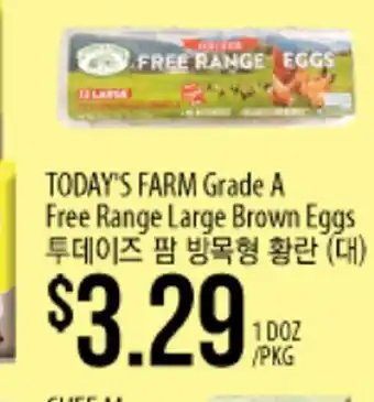 Hmart Today's farm grade a free range large brown eggs offer