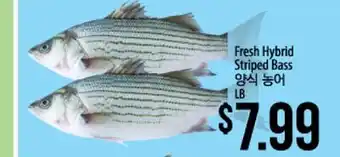 Hmart Fresh hybrid striped bass offer