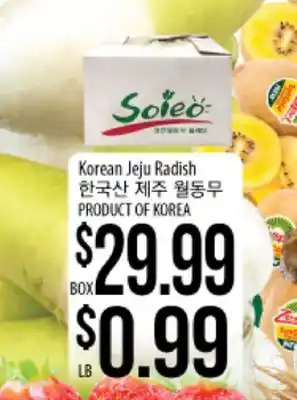 Hmart Korean jeju radish offer
