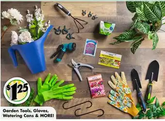 Dollar Tree Garden tools, gloves, watering cans & more! offer