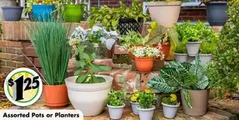 Dollar Tree Assorted pots or planters offer