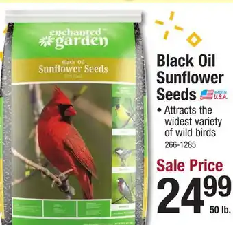 Menards Black oil sunflower seeds offer