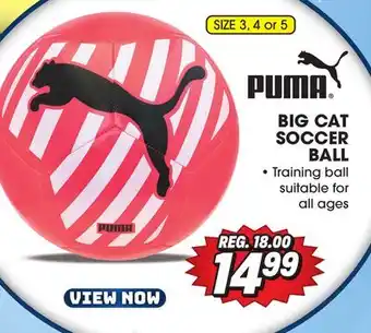 Big 5 Puma big cat soccer ball offer